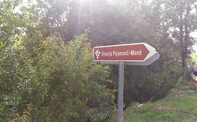 Apartment Mond