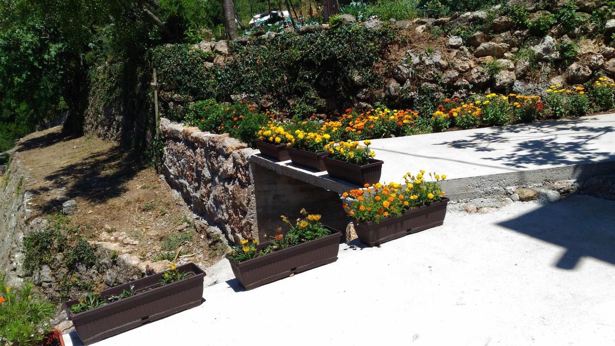 Apartment Mond Virpazar Room photo